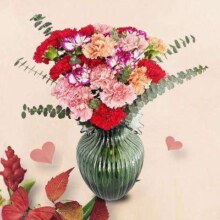 京东百亿补贴 简势 品质鲜花 康乃馨30枝+10枝尤加利叶