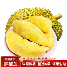 SHUHUA 舒化 伊利舒化奶 无乳糖牛奶整箱 全脂型220ml*12盒 适合乳糖不耐受 礼盒装