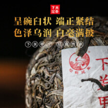 下关沱茶 茶叶 普洱茶 普洱生茶 2019甲沱标杆口粮茶 500g/条  中华老字号