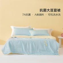 春焕新、家装季：BLISS 百丽丝 大豆抗菌夏凉被 200x230cm