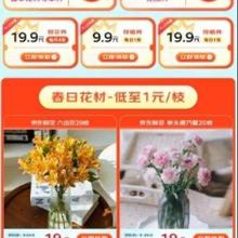 促销活动：京东 PLUS会员鲜花特权 定制鲜花/绿植