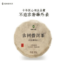 plus会员：乾始 轻奢普洱生茶  冰岛湖春茶 100g 1片