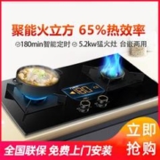 macro 万家乐 AY8A定时燃气灶家用厨房台嵌两用天然气液化气煤气双灶猛火
