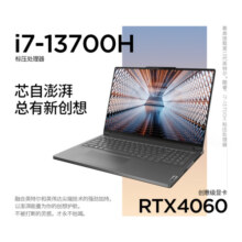 ThinkPadThinkBook 16p/Plus17 13/12代英特尔酷睿i7标压处理器 笔记本电脑 可选独立显卡 16P i7-13700H 8G独显 45CD