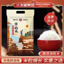 太粮 华稻农猫牙米5kg油粘米10斤南方籼米批发新米鲜米长粒大米