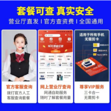 中国电信电信雪乡卡29元包180G通用+30G定向+200分钟通话