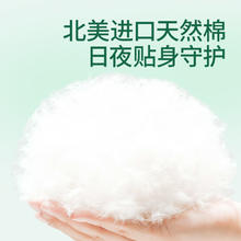lelch 露安适 纯净Pure mini纸尿裤拉拉裤小奶熊mini升级