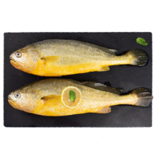 海名威 冷冻黄花鱼700g/2条 宁德大黄鱼地标 深海鱼 海鲜水产 生鲜鱼类