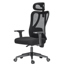 黑白调（Hbada）P1 人体工学椅办公椅子电脑椅人工力学座椅久坐电竞椅学习椅 标准