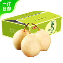 PLUS会员：京鲜生 河北特产水晶甜鸭梨 净重3斤