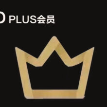 京东plus会员 一年12个月