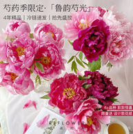 REFLOWER 花点时间 山东芍药 鲁韵芍光 10枝
