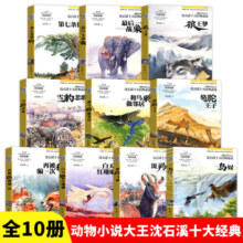 动物小说大王沈石溪十大经典10册 8-9-10-12适合小学生三四五六年级非课外书课外阅读故事书 动物小说大王沈石溪 十大经典必读10册