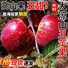 果嘉农 四川大凉山盐源丑苹果 当季新鲜水果红富士脆甜冰糖心 5斤 中果
