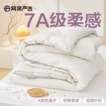 网易严选提花大豆春秋被芯被子加厚冬被7A级柔软A类抗菌床上用品学生宿舍 海盐灰 【提花大豆冬被】200*230cm