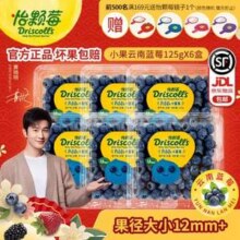 Driscoll's 怡颗莓 云南蓝莓 小果 125g*6盒礼盒装