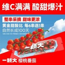 一颗大™ 红樱桃串番茄 198g*4盒*2件