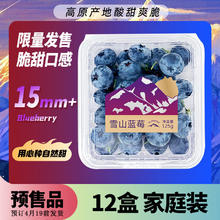 Mr.Seafood 京鲜生 云南蓝莓 12盒 约125g/盒 15mm+