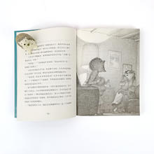 《奇想文库·刺猬杰斐逊和一桩悬案》