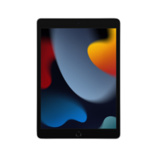 Apple/苹果 iPad(第9代)10.2英寸平板电脑 2021年款(256GB WLAN版/MK2P3CH/A)银色