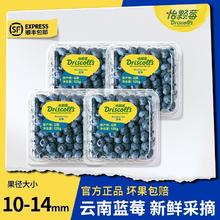 百亿补贴：DRISCOLL'S/怡颗莓 云南蓝莓 125gx6盒