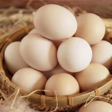 Plus会员:故乡食召 农家谷物鸡蛋 16枚 650g 4枚*4组