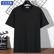 PLUS会员：真维斯（JEANSWEST Z+）圆领短袖t恤男夏2024新款