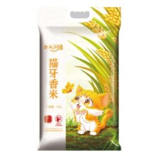 PLUS会员: 鄱阳湖 猫牙米 5kg