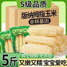 甜盟 云南 西双版纳 拇指小玉米 净重5斤 不用券实付