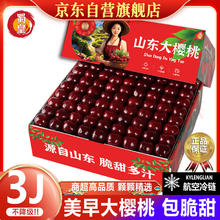 蜀皇 山东大樱桃国产车厘子美早JJJ级2斤 3JJJ级大号