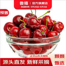 鲁禧 车厘子樱桃 5斤净4.5+