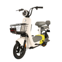 ZUB 五星钻豹 A8 电动自行车 TDT82Z