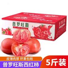 特大果 普罗旺斯西红柿 5斤装（10-12个）不用券实付