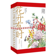 2024年日历台历新年礼物甲辰龙年 花开有时手撕水彩花卉日历