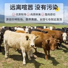 百亿补贴：XI NIU YOU XUAN 西牛优选 黄牛牛排骨 5斤