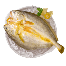 三都港三去宁德黄花鱼调味醇香黄鱼鲞新鲜生鲜冷冻水产海鲜鱼类烧烤食材 黄鱼鲞140-160g*5条