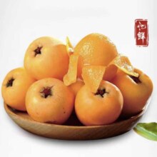 京东百亿补贴、Plus合会员:忆鲜攀枝花米易枇杷 单果40g-60g 净重3斤