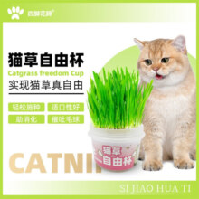 四脚花蹄 猫草自由杯懒人超大杯猫草罐盆栽猫咪去毛球化毛调理肠胃零食 小麦口味 5个超大杯