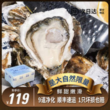 生蚝小镇 大连刺身级生食鲜活生蚝 XXXL（140g-190g）8斤