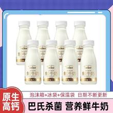 百亿补贴：每日鲜语全脂鲜牛奶250ml*8瓶装牛奶高端鲜奶生牛乳