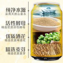 轩博精酿啤酒3.0小金冠10.5度小麦白啤330ml*1罐装