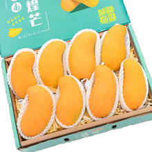 乌仙子 正宗金煌芒果 净重9斤 特大果 单果（500g-1000g）