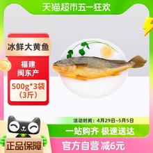 88VIP会员：渔传播 福建闽东冰鲜大黄鱼深海鱼500g*3袋（3斤）海鲜