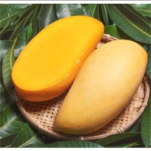 plus会员:鲜宝道 金煌芒 整箱 5斤