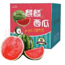 abay 美都麒麟西瓜 7斤装 （1个装）不用券实付