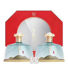 百亿补贴：泸州老窖股份52度原酿天典饮河山500ML*2浓香型白酒礼盒装特价