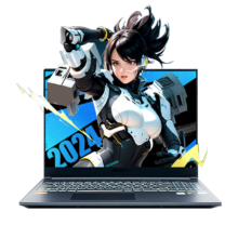 预售、plus会员：机械革命 极光Pro 16英寸笔记本(i5-13450HX 16G 1T RTX4060 165HZ 2.5K屏 165HZ 双液金散热)