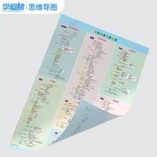 《高中知识思维导图》（2024版、科目任选）