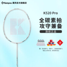 薰风（KUMPOO）羽毛球拍K520升级款全碳素超轻全能型熏风训练拍比赛专业级球拍 K520升级款 白色（拉线）