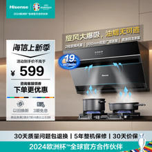 Hisense 海信 抽油烟机 家用大吸力19立方侧吸式吸油烟机小户型老式厨房脱排油烟机一级能效DJ905A